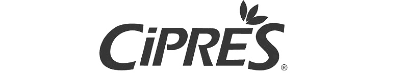 Ciprés